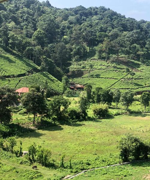 Mysore-Coorg-Wayanad