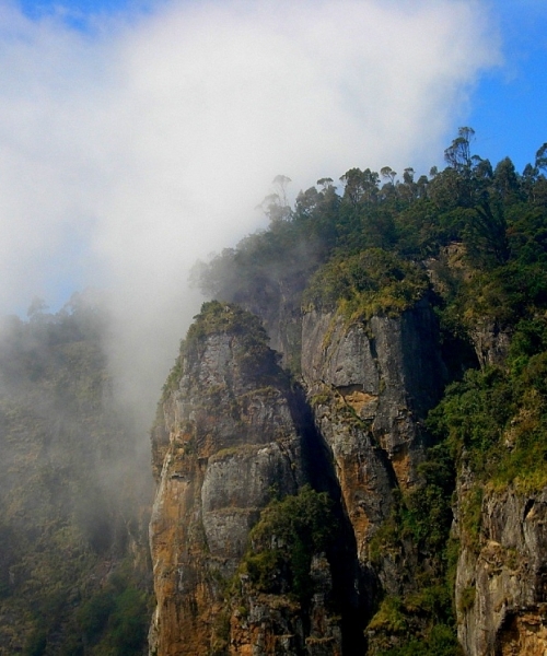 Bangalore-Mysore-Wayanad