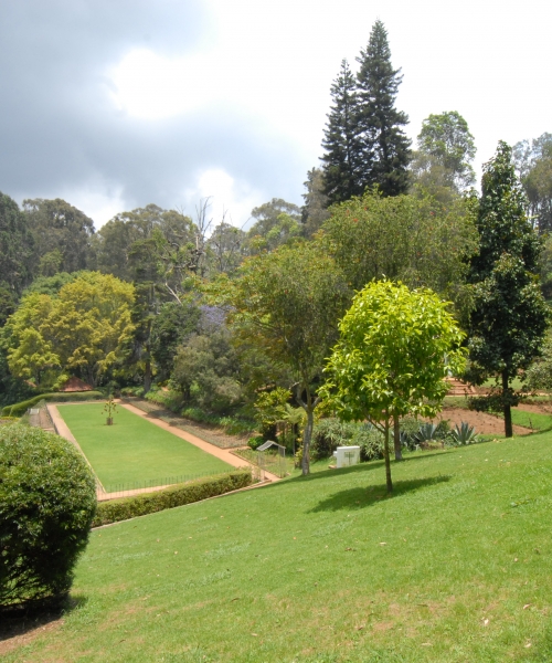 Mysore-Ooty-Coorg