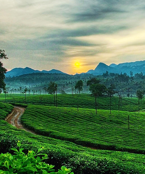 Bangalore-Mysore-Ooty
