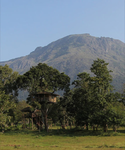 Bangalore-Mysore-Coorg-Ooty