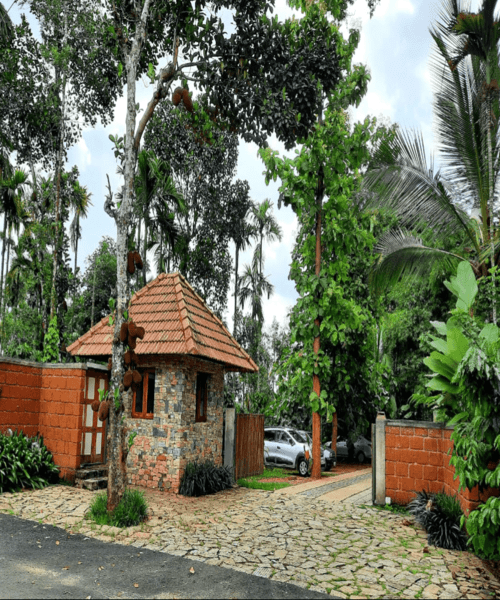 Mysore-Coorg-Wayanad 